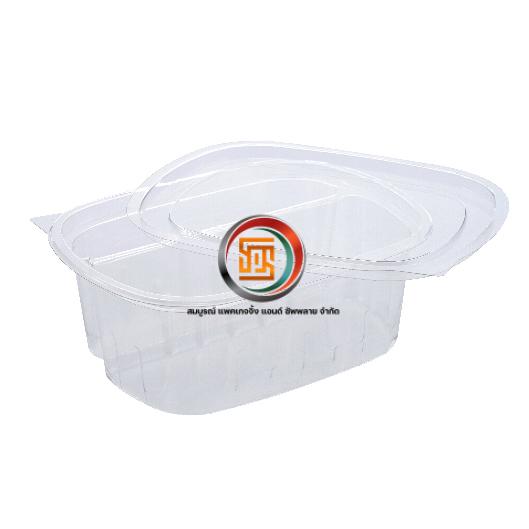 ฺBP-019 กล่องเบเกอรี่ 19